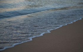 Ammos Sea Front Rooms - Adults Only